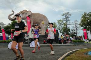 BIB: 
                            <button type="button" onclick="openModal(26528868)" class="btn btn-primary btn-sm float-right btn-popup" data-toggle="modal" data-target=".modal-high-quality">
                        <i class="fas fa-shopping-cart"></i> Add to Cart
                    </button>
                                            <button type="button" onclick="isThisMe(26528868, true)" class="btn btn-success btn-sm float-right btn-popup btn-isme hidden" data-toggle="tooltip" data-placement="bottom" title="นี่คือรูปของคุณใช่ไหม คลิกที่นี่เพื่อเอาเข้าอัลบั้ม">
                        <i class="fas fa-plus"></i> Add to album
                    </button>
                    <button type="button" onclick="isThisMe(26528868, false)" class="btn btn-warning btn-sm float-right btn-popup btn-isnotme hidden">
                        <i class="fas fa-ban"></i> Remove from album
                    </button>